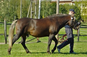 imgp6914